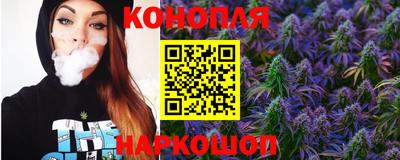 Альфа ПВП Лесосибирск
