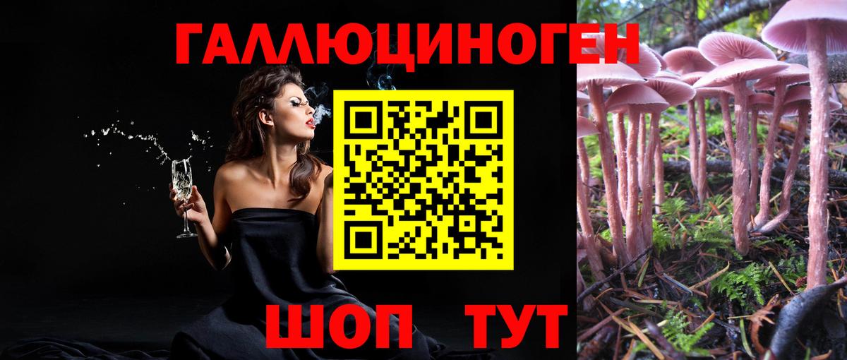 продажа наркотиков  Галлюциногенные грибы MAGIC MUSHROOMS  Вход с VPN  Галлюциногенные грибы прущие грибы  Тара 